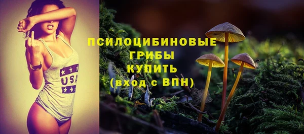 гидра Белокуриха