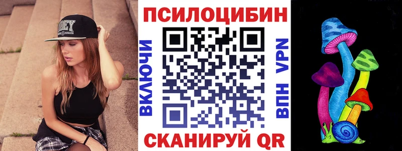 Галлюциногенные грибы MAGIC MUSHROOMS  продажа наркотиков  Боготол 